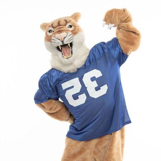 Collin Cougar