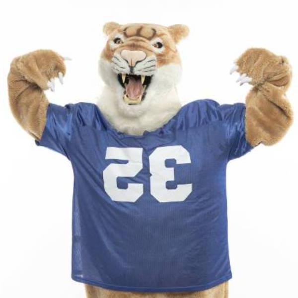 Collin Cougar